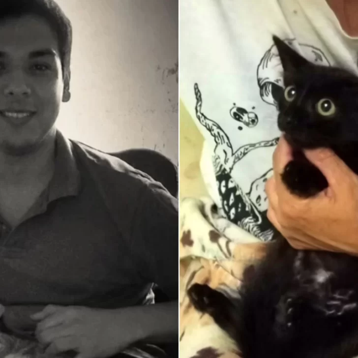 Aseguran que el cocinero santacruceño acusado de matar gatos sigue pidiendo animales en otras provincias Aseguran que el cocinero santacruceño acusado de matar gatos sigue pidiendo animales en otras provincias
