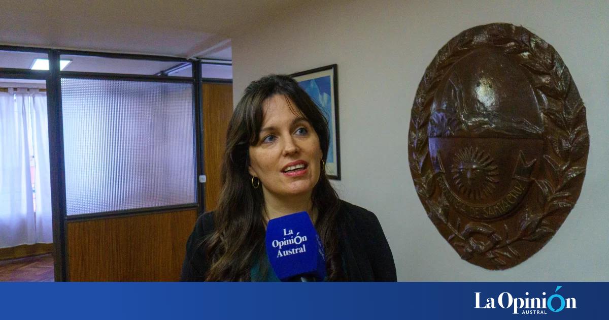 El Colegio de la Abogacía advirtió que la crisis judicial en Santa Cruz es "estructural" y reclamó medidas urgentes
