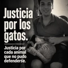 Impacto nacional con el santacruceño acusado de matar 16 gatitos en Buenos Aires: este sábado habrá una marcha en el Obelisco