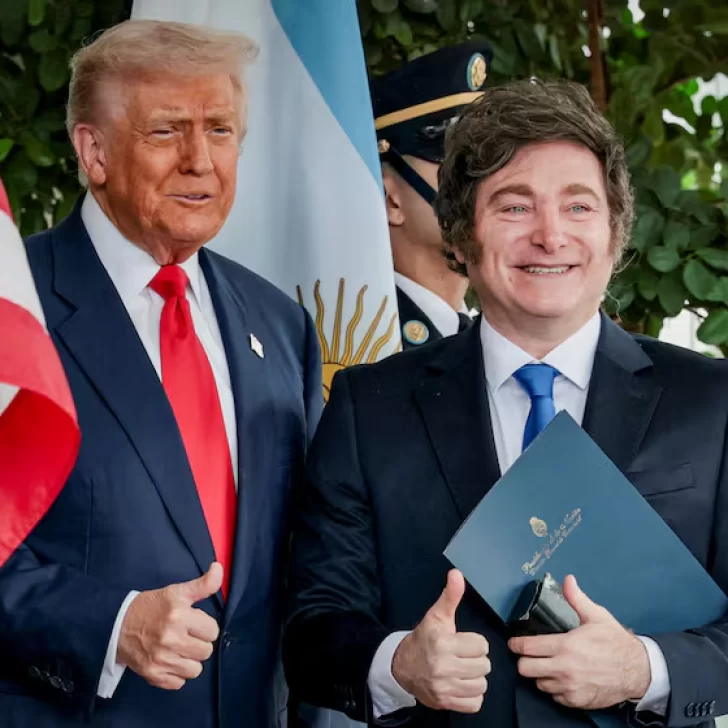 De patos rengos y patos fuertes De patos rengos y patos fuertes