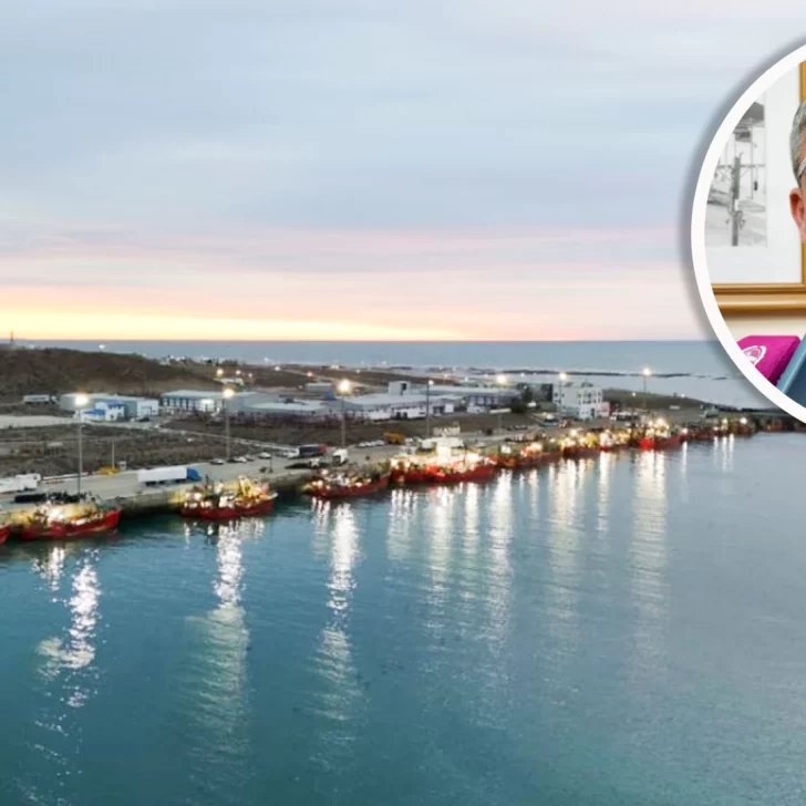 Nación certificó la regularización de las obras del Puerto Caleta Paula y habilitó el ingreso de buques de mayor porte Nación certificó la regularización de las obras del Puerto Caleta Paula y habilitó el ingreso de buques de mayor porte