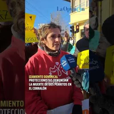 “Justicia por Indio y Bigotes”: proteccionistas denuncian maltrato animal en el corralón municipal