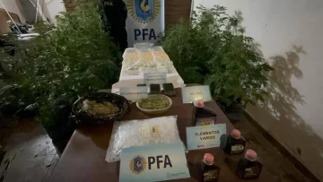 Desmantelan un vivero clandestino de marihuana en Caleta Olivia: secuestran más de 700 dosis, plantas y dinero en efectivo Desmantelan un vivero clandestino de marihuana en Caleta Olivia: secuestran más de 700 dosis, plantas y dinero en efectivo