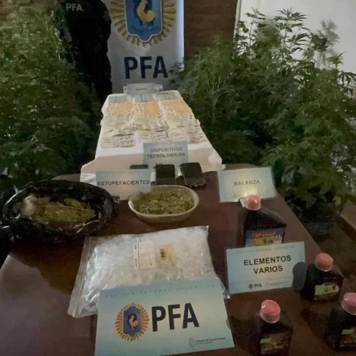 Desmantelan un vivero clandestino de marihuana en Caleta Olivia: secuestran más de 700 dosis, plantas y dinero en efectivo Desmantelan un vivero clandestino de marihuana en Caleta Olivia: secuestran más de 700 dosis, plantas y dinero en efectivo