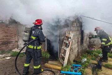 Río Gallegos: una salamandra provocó un principio de incendio en una vivienda Río Gallegos: una salamandra provocó un principio de incendio en una vivienda