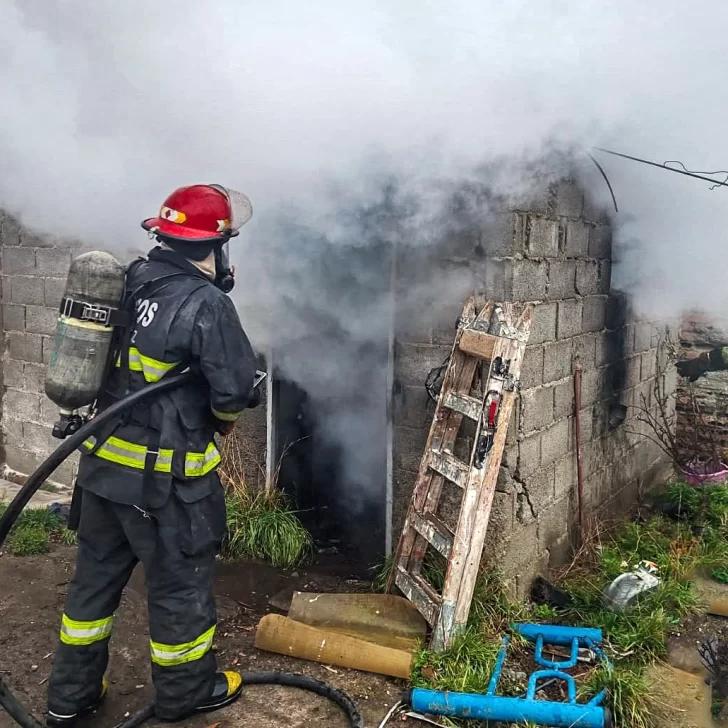 Río Gallegos: una salamandra provocó un principio de incendio en una vivienda Río Gallegos: una salamandra provocó un principio de incendio en una vivienda