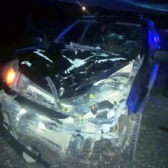 Violento choque contra un caballo en El Calafate: una familia salvó su vida de milagro sobre la Ruta Provincial 11