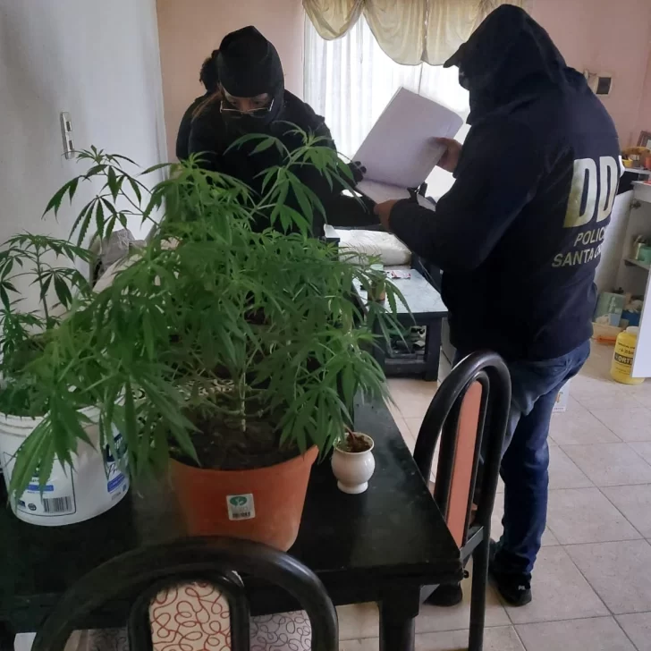Les hallaron casi 9 kilos de marihuana y deberán pagar una multa para no ir presos Les hallaron casi 9 kilos de marihuana y deberán pagar una multa para no ir presos