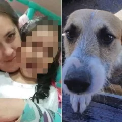 Muerte de la niña en Playa Magagna: la familia asegura que “Perejil”, el perro investigado, no participó del ataque