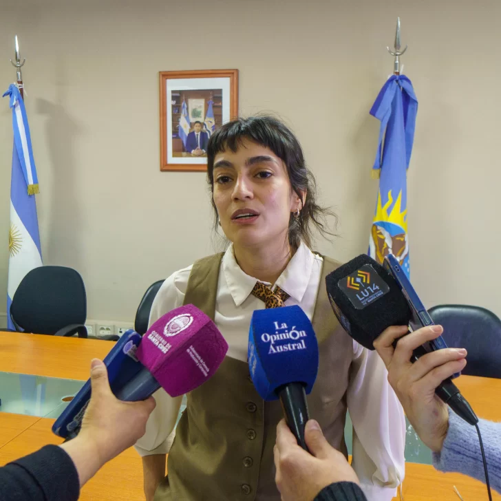 Pavanello destacó un repunte de la exploración minera y aseguró que la provincia tiene 14 proyectos en esa condición Pavanello destacó un repunte de la exploración minera y aseguró que la provincia tiene 14 proyectos en esa condición