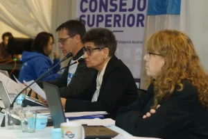 Estudiante apuñalado y violencia de género en la UNPA: Consejo Superior exigió el cumplimiento de los protocolos Estudiante apuñalado y violencia de género en la UNPA: Consejo Superior exigió el cumplimiento de los protocolos