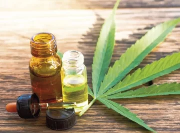 Impulsan en Santa Cruz la creación de un Consejo Consultivo para el desarrollo del cáñamo industrial y el cannabis medicinal Impulsan en Santa Cruz la creación de un Consejo Consultivo para el desarrollo del cáñamo industrial y el cannabis medicinal