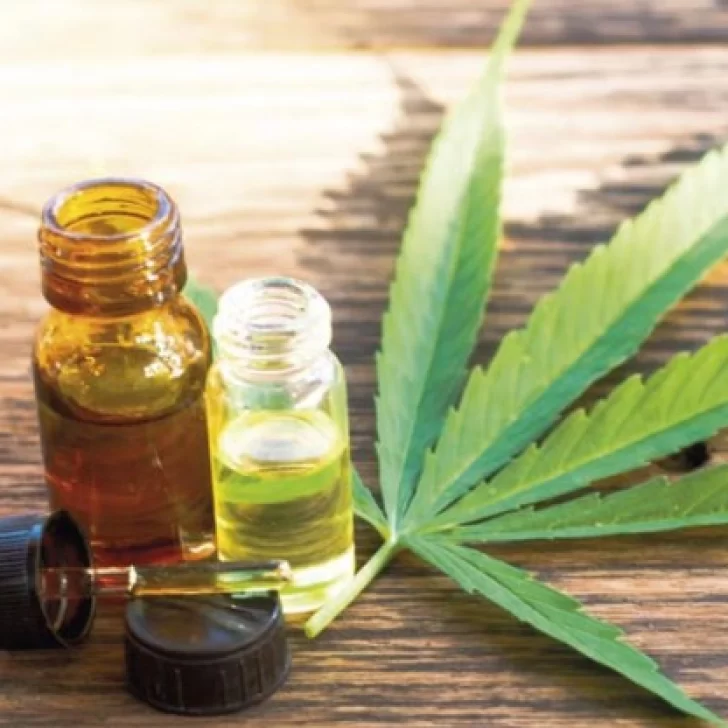Impulsan en Santa Cruz la creación de un Consejo Consultivo para el desarrollo del cáñamo industrial y el cannabis medicinal Impulsan en Santa Cruz la creación de un Consejo Consultivo para el desarrollo del cáñamo industrial y el cannabis medicinal