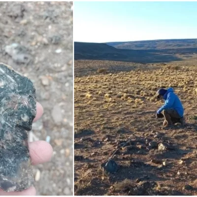 Hallazgo en Santa Cruz: descubrieron una planta de 150 millones de años en rocas jurásicas