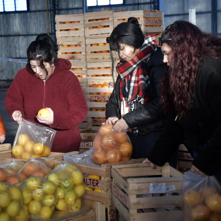 Vecinos arrasaron con el hot sale en el Mercado Concentrador Patagónico Vecinos arrasaron con el hot sale en el Mercado Concentrador Patagónico