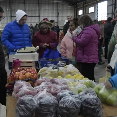 Mercado Concentrador: las ventas crecen promedio 10% por semana