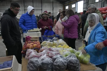 Mercado Concentrador: las ventas crecen promedio 10% por semana Mercado Concentrador: las ventas crecen promedio 10% por semana