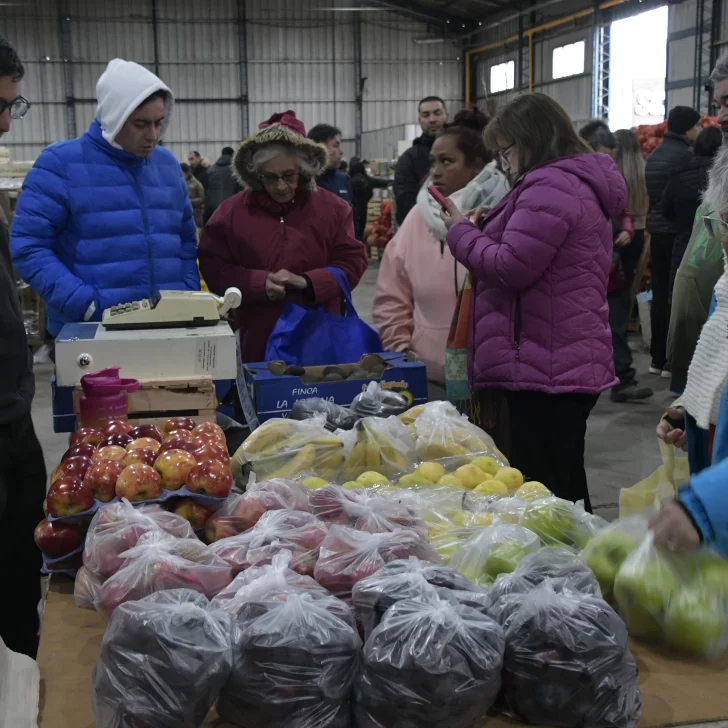 Mercado Concentrador: las ventas crecen promedio 10% por semana Mercado Concentrador: las ventas crecen promedio 10% por semana