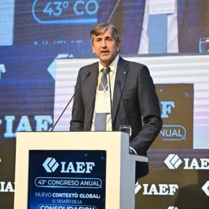 IAEF pidió “consensos” para implementar “reformas que duren décadas” IAEF pidió “consensos” para implementar “reformas que duren décadas”