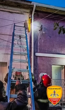 Río Gallegos: bomberos rescataron a un gatito atrapado en un techo Río Gallegos: bomberos rescataron a un gatito atrapado en un techo