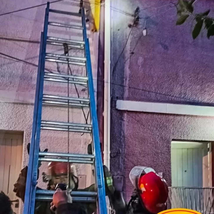 Río Gallegos: bomberos rescataron a un gatito atrapado en un techo Río Gallegos: bomberos rescataron a un gatito atrapado en un techo