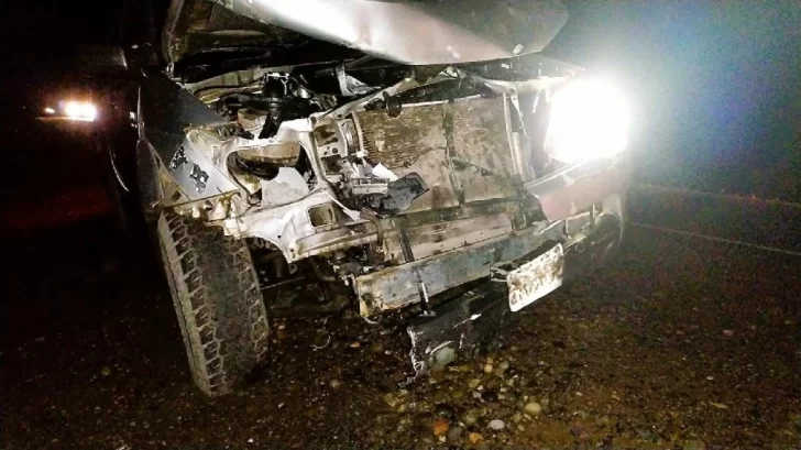 Policías de Santa Cruz chocaron contra un guanaco en la ruta camino a El Calafate