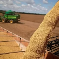 Récord de exportaciones agroindustriales: 53 millones de toneladas exportadas entre enero y mayo