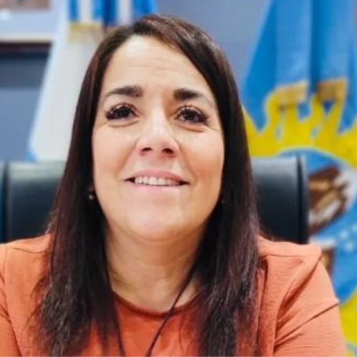 “No es momento de especulaciones”: Analía Farías defendió el financiamiento para obras y empleo en Santa Cruz “No es momento de especulaciones”: Analía Farías defendió el financiamiento para obras y empleo en Santa Cruz
