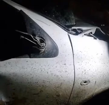 “Casi lo mata al chico”: un caballo se cruzó en la ruta y fue embestido por un joven en las afueras de Río Gallegos “Casi lo mata al chico”: un caballo se cruzó en la ruta y fue embestido por un joven en las afueras de Río Gallegos