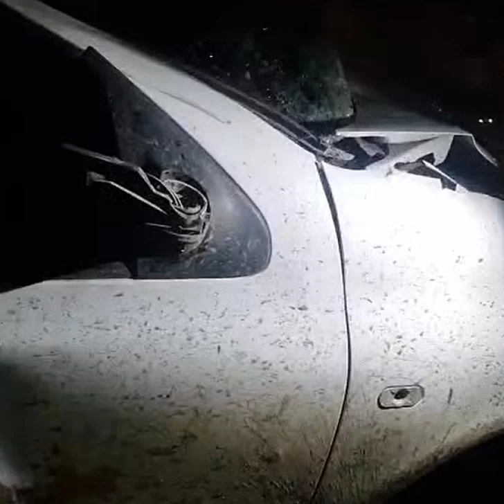 “Casi lo mata al chico”: un caballo se cruzó en la ruta y fue embestido por un joven en las afueras de Río Gallegos “Casi lo mata al chico”: un caballo se cruzó en la ruta y fue embestido por un joven en las afueras de Río Gallegos