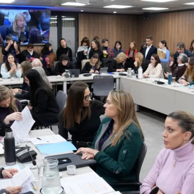 La oposición firmó un dictamen para declarar la emergencia nacional en violencia de género: Santa Cruz, entre las provincias con tasas más altas