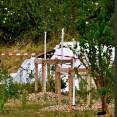 Francia: se estrelló una avioneta con 11 ocupantes y no hubo sobrevivientes