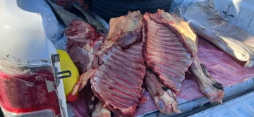 Le robó la potranca a su vecino y la faenó para un asado Le robó la potranca a su vecino y la faenó para un asado