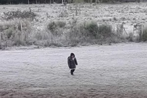 Un nene de 10 años desapareció cerca de una escuela rural y lo encontraron caminando solo por una ruta de Santa Cruz Un nene de 10 años desapareció cerca de una escuela rural y lo encontraron caminando solo por una ruta de Santa Cruz