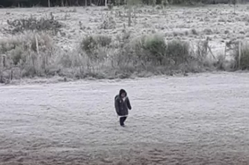 Un nene de 10 años desapareció cerca de una escuela rural y lo encontraron caminando solo por una ruta de Santa Cruz Un nene de 10 años desapareció cerca de una escuela rural y lo encontraron caminando solo por una ruta de Santa Cruz
