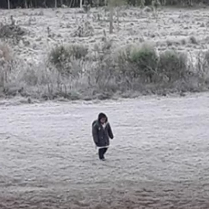 Un nene de 10 años desapareció cerca de una escuela rural y lo encontraron caminando solo por una ruta de Santa Cruz Un nene de 10 años desapareció cerca de una escuela rural y lo encontraron caminando solo por una ruta de Santa Cruz