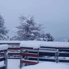 Alerta por fuertes nevadas en un sector de Santa Cruz para este lunes