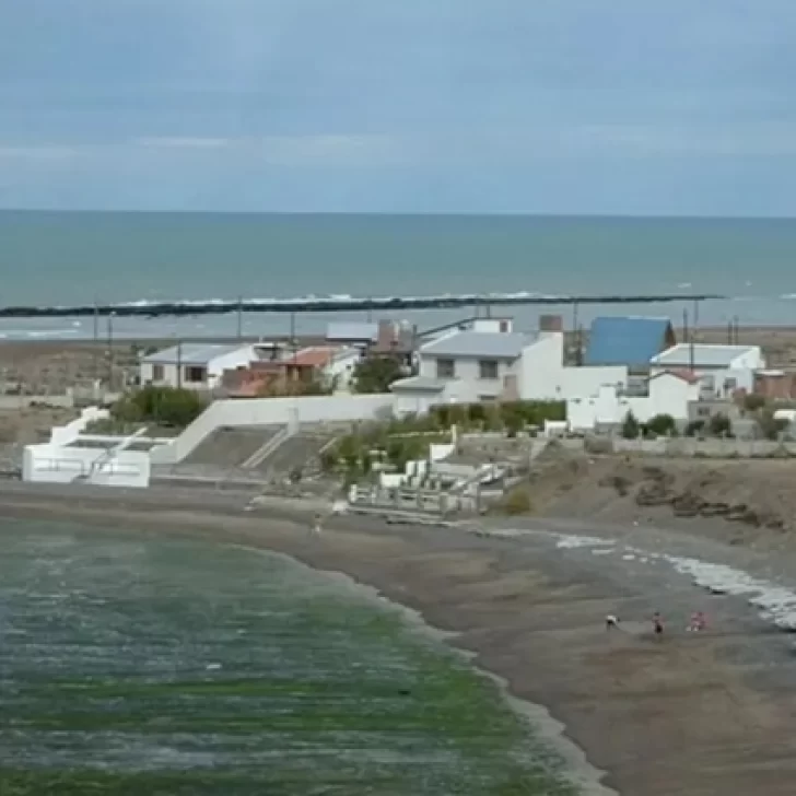 Rawson: una niña de 5 años murió tras ser atacada por un perro en Playa Magagna Rawson: una niña de 5 años murió tras ser atacada por un perro en Playa Magagna