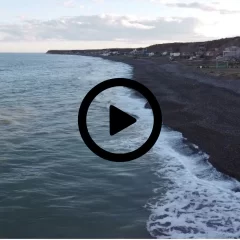 Video: cámaras de seguridad captaron el ataque del perro que mató a una niña de 5 años en una playa de Chubut