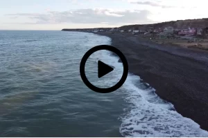 Video: cámaras de seguridad captaron el ataque del perro que mató a una niña de 5 años en una playa de Chubut Video: cámaras de seguridad captaron el ataque del perro que mató a una niña de 5 años en una playa de Chubut