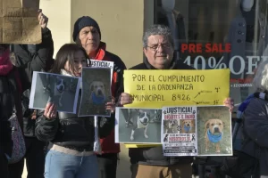 Proteccionistas piden justicia por Indio y Bigotes, dos perros que murieron en el Corralón Municipal