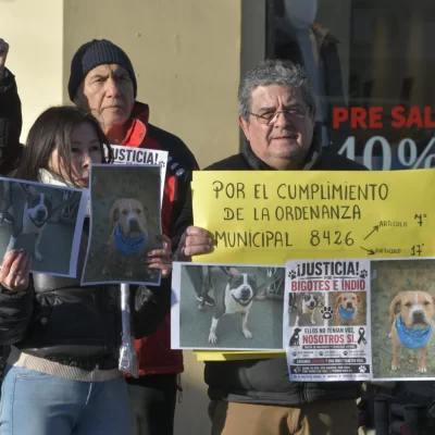 Proteccionistas piden justicia por Indio y Bigotes, dos perros que murieron en el Corralón Municipal
