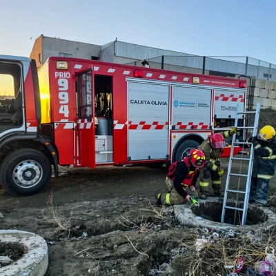 Caleta Olivia: bomberos rescataron a un perro que cayó en un pozo de tres metros