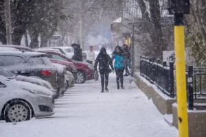 Vacaciones de invierno 2026: el Gobierno de Santa Cruz estableció el cronograma de licencia para trabajadores públicos Vacaciones de invierno 2026: el Gobierno de Santa Cruz estableció el cronograma de licencia para trabajadores públicos