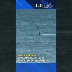Avistaje de ballenas en Cabo Vírgenes
