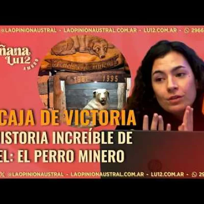 La historia más increíble de Río Turbio: el perro minero que trabajó 12 años – La Caja de Victoria