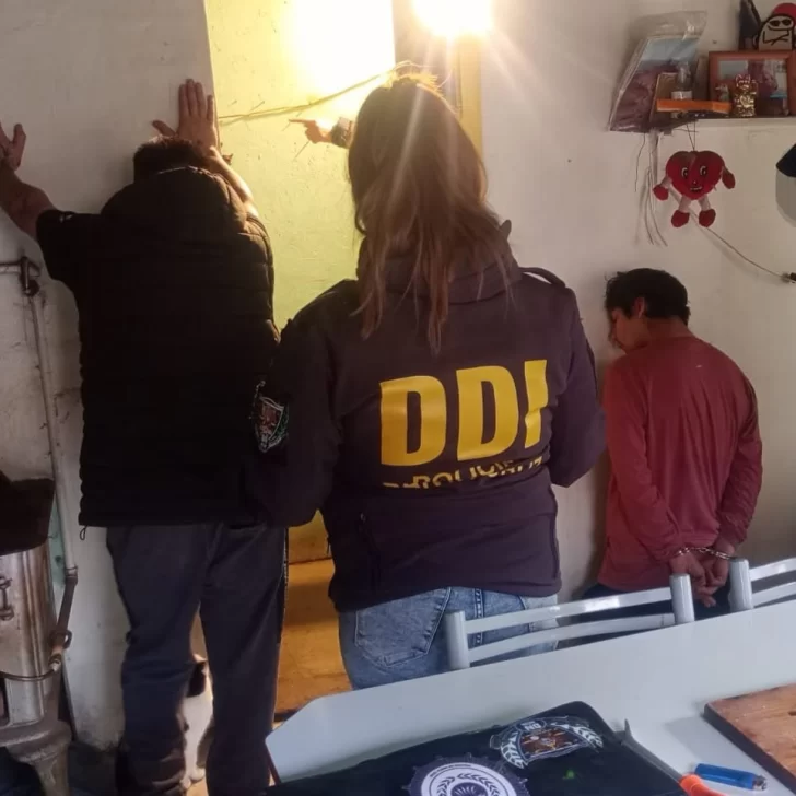 Desbarataron una banda acusada de al menos cinco robos en El Calafate: tres detenidos y una investigación federal por un cultivo de marihuana Desbarataron una banda acusada de al menos cinco robos en El Calafate: tres detenidos y una investigación federal por un cultivo de marihuana