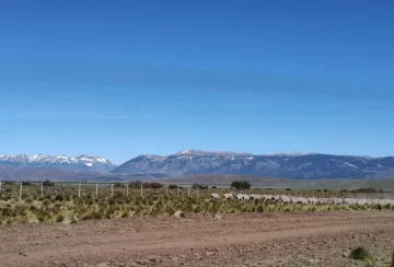 Diputada nacional advirtió que apoyar la reforma de la ley de tierras “puede considerarse traición a la Patria” Diputada nacional advirtió que apoyar la reforma de la ley de tierras “puede considerarse traición a la Patria”