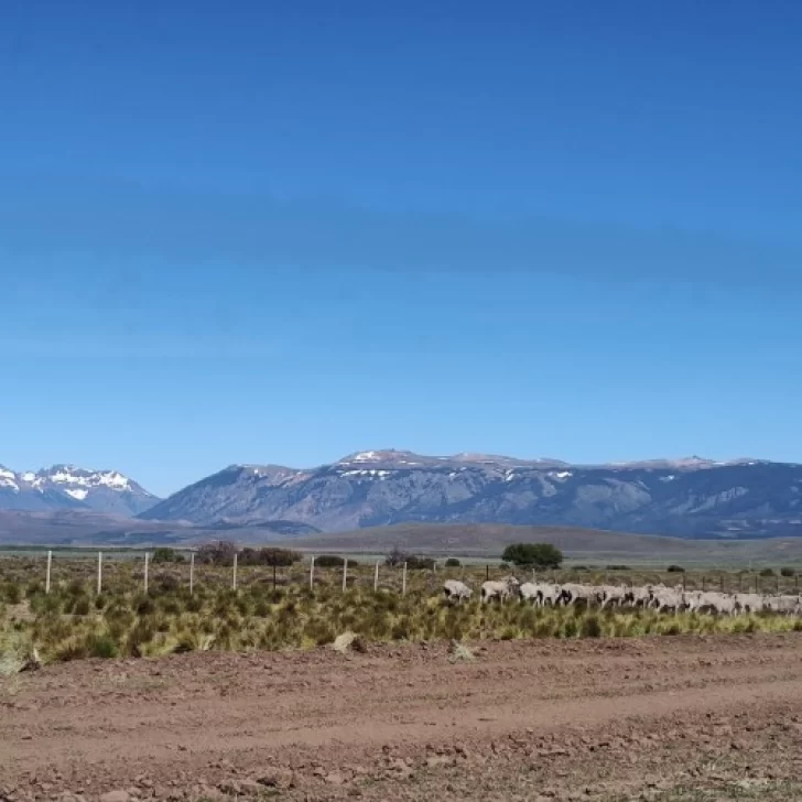Diputada nacional advirtió que apoyar la reforma de la ley de tierras “puede considerarse traición a la Patria” Diputada nacional advirtió que apoyar la reforma de la ley de tierras “puede considerarse traición a la Patria”