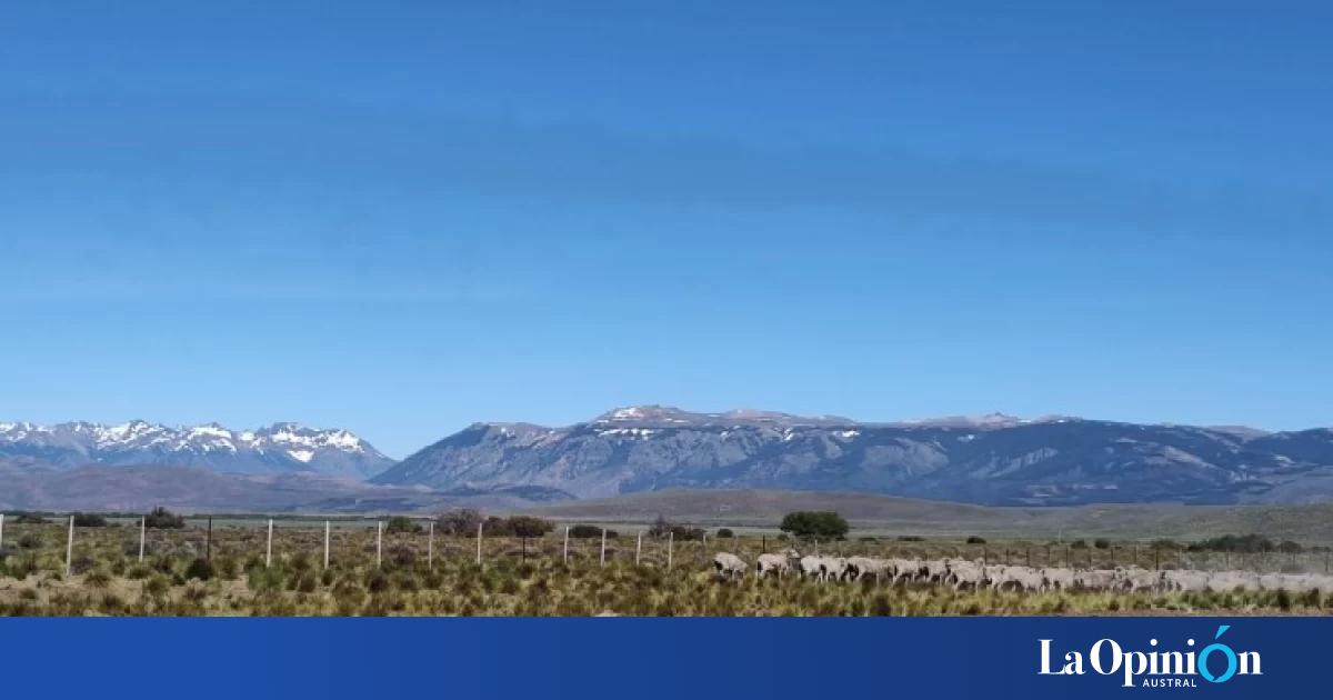 Diputada nacional advirtió que apoyar la reforma de la ley de tierras puede considerarse traición a la Patria